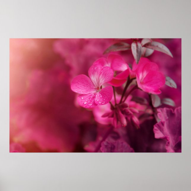 Beautiful spring flowers poster (Front)