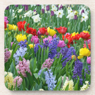 Beautiful spring garden coaster