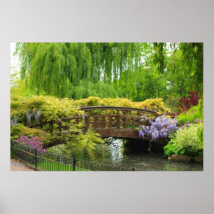 Beautiful Spring garden in May Poster