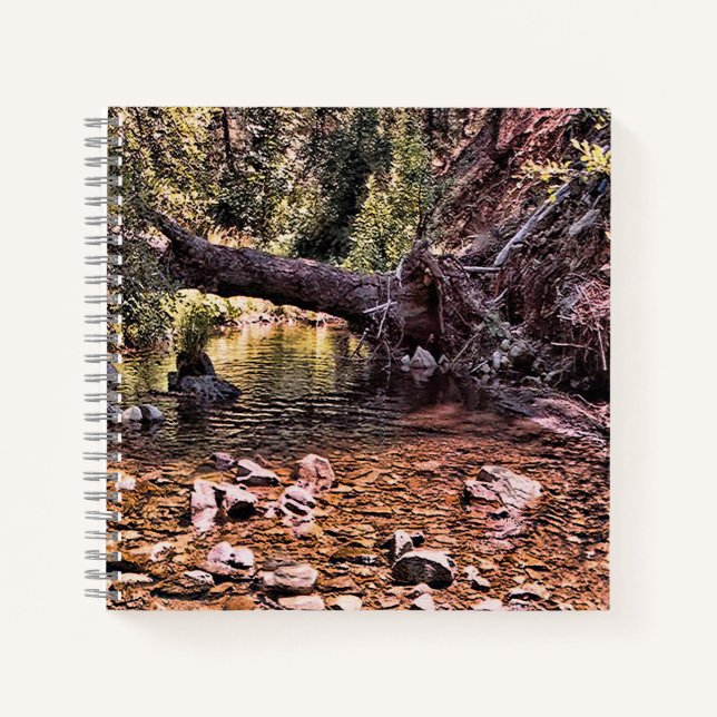 Beautiful Spring morning.... Notebook (Front)