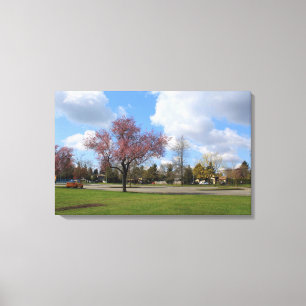 Beautiful spring park landscape photography canvas print