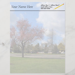 Beautiful spring park landscape photography letterhead