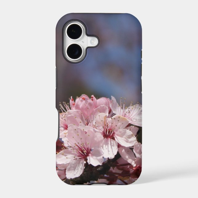 beautiful spring pink cherry blossoming tree. (Back)