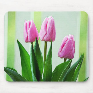 Beautiful spring pink tulip flowers, green leaves mouse pad