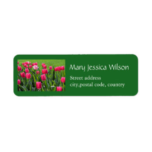 Beautiful spring pink tulip flowers green personal