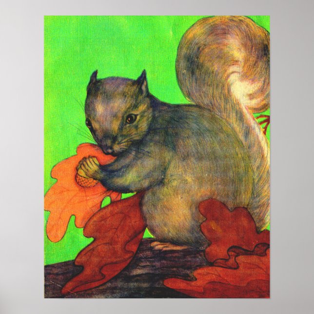 beautiful squirrel print (Front)