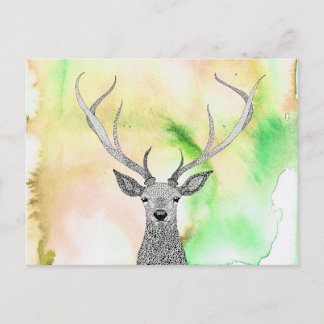 Beautiful Stag Postcard