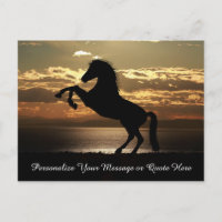 Beautiful Stallion Horse in Sunset Personalize