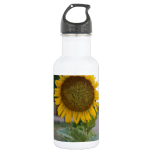 Beautiful Stunning Sunflower 532 Ml Water Bottle