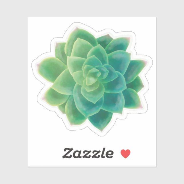 Beautiful Succulent Plant Lover Sticker (Sheet)