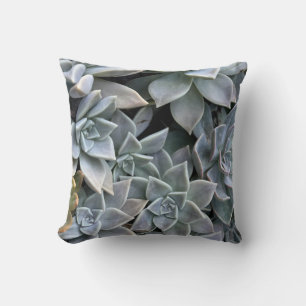 Beautiful Succulent Plant Photo Throw Pillow
