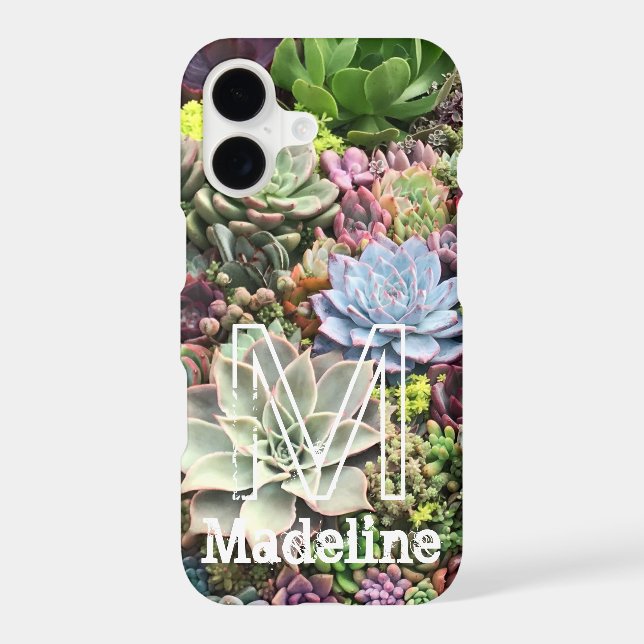 Beautiful Succulents (Back)