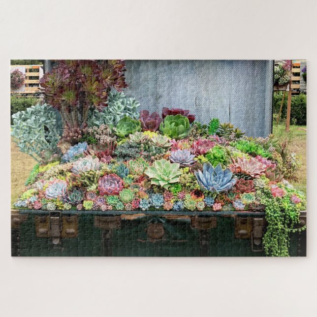 Beautiful Succulents in Treasure Chest Jigsaw Puzzle (Horizontal)