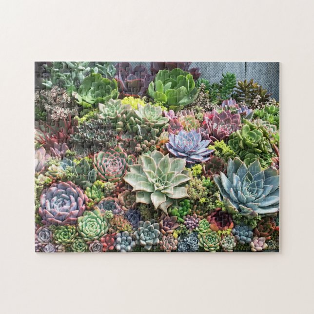 Beautiful Succulents Jigsaw Puzzle (Horizontal)