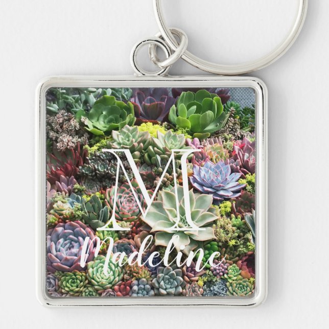 Beautiful Succulents Keychain (Front)