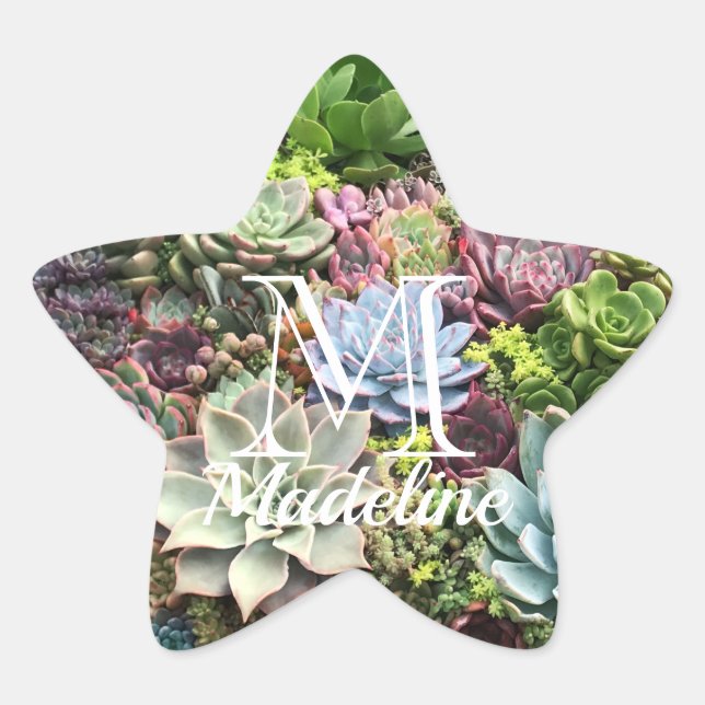 Beautiful Succulents Star Sticker (Front)
