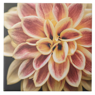 Beautiful Summer Dahlia Flower (Pretty Floral Art) Tile