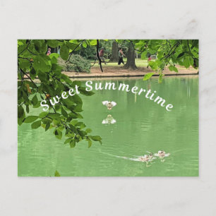 Beautiful Summer lake with ducks. Postcard