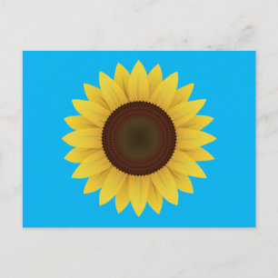 Beautiful Summer Sunflower Postcard