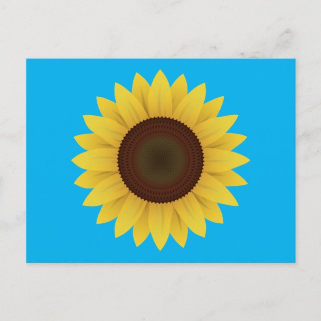 Beautiful Summer Sunflower Postcard (Front)