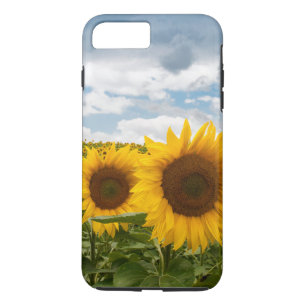 beautiful summer sunflowers Case-Mate iPhone case