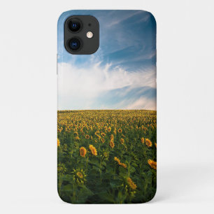 beautiful sun flowers field with cloudy blue sky a iPhone 11 case