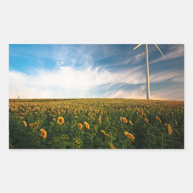 beautiful sun flowers field with cloudy blue sky a sticker (Front)