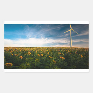 beautiful sun flowers field with cloudy blue sky a sticker