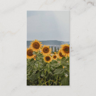 Beautiful Sunflower Field Nature Aesthetic Photogr Business Card