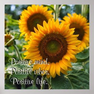 Beautiful Sunflowers under the Sun Personalized Poster