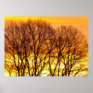 Beautiful Sunrise nature landscape Poster