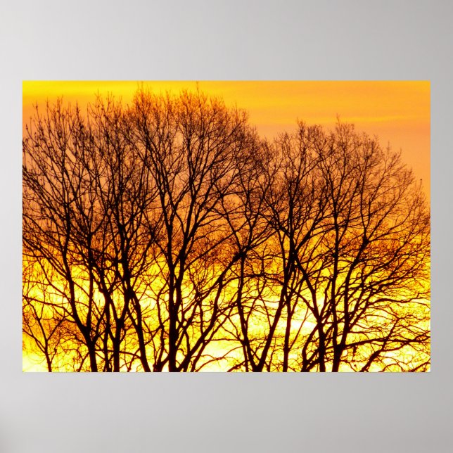 Beautiful Sunrise nature landscape Poster (Front)