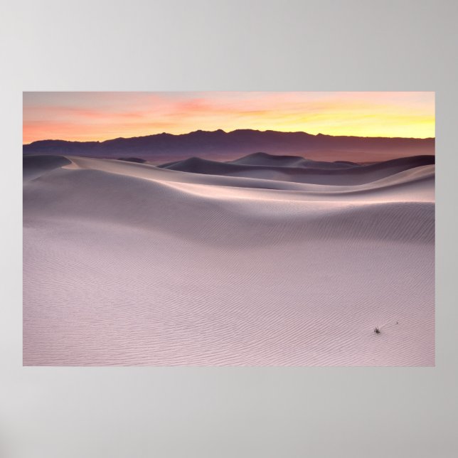 Beautiful Sunrise over Desert Sand Dunes Poster (Front)