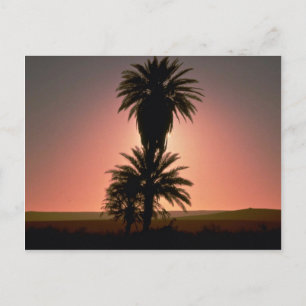 Beautiful Sunset: Sahara Desert, Algeria Postcard