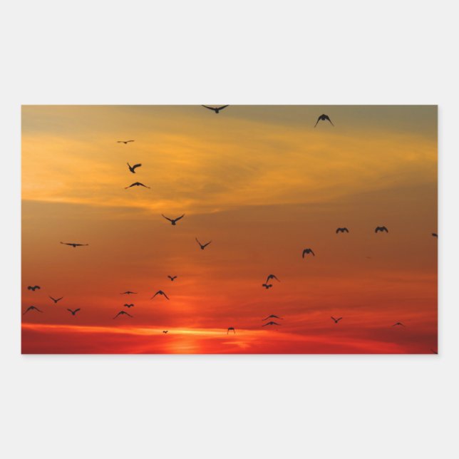 Beautiful Sunset Scenic Landscape Photographic Art Sticker (Front)