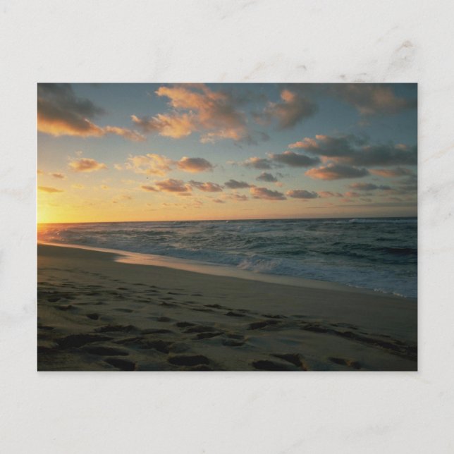 Beautiful Sunset: Sunset Beach, Oahu, Hawaii Postcard (Front)
