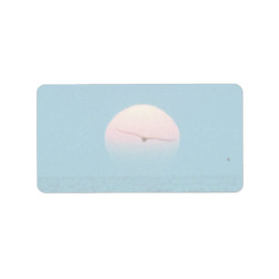 Beautiful Sunset: Virginia Beach, Virginia Label