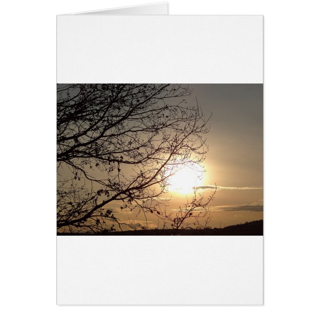 Beautiful sunset with branchs (Front)