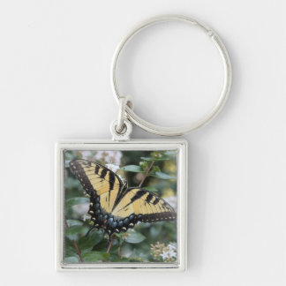Beautiful swallowtail butterfly photo - keychain