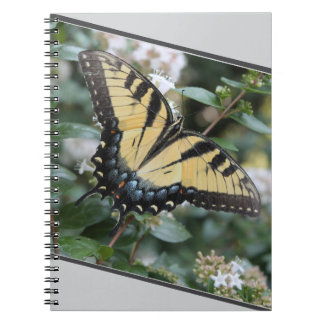 beautiful swallowtail butterfly photo - notebook