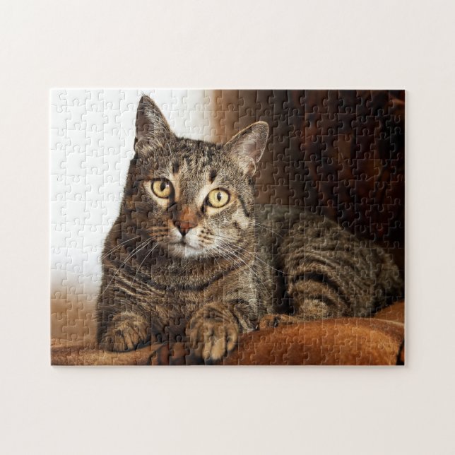 Beautiful Tabby Cat Jigsaw Puzzle (Horizontal)