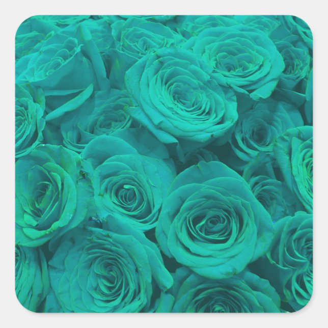 Beautiful teal green roses teal flowers  square sticker (Front)