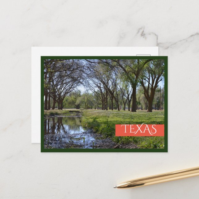 Beautiful Texas Park Postcard (Front/Back In Situ)