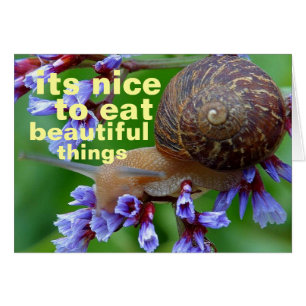 beautiful things