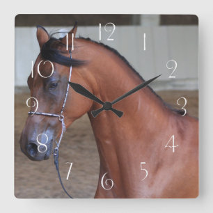 Beautiful thoroughbred arabian stallion square wall clock