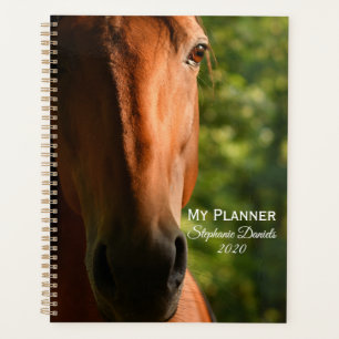 Beautiful Thoroughbred Horse Planner