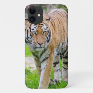 Beautiful Tiger iPhone 11 Case