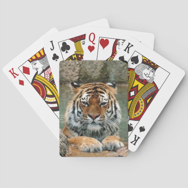 Beautiful Tiger Deck of Playing Cards (Back)