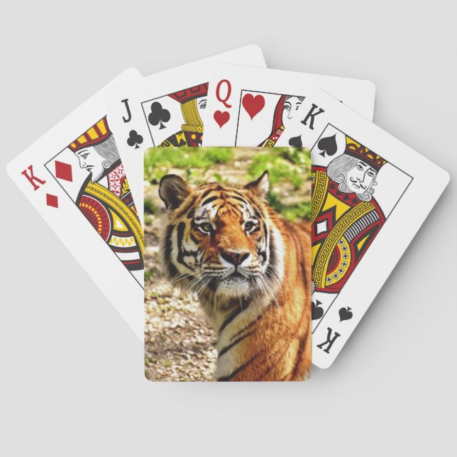 Beautiful Tiger Deck of Playing Cards (Back)