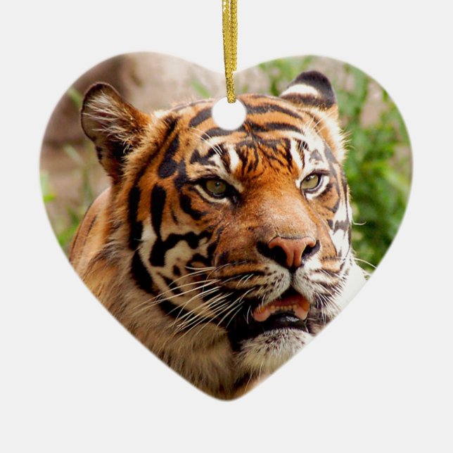Beautiful tiger face ceramic ornament (Front)